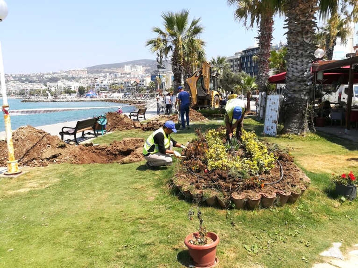 Kuşadası\'na 29 Palmiye Ağacı Dikildi