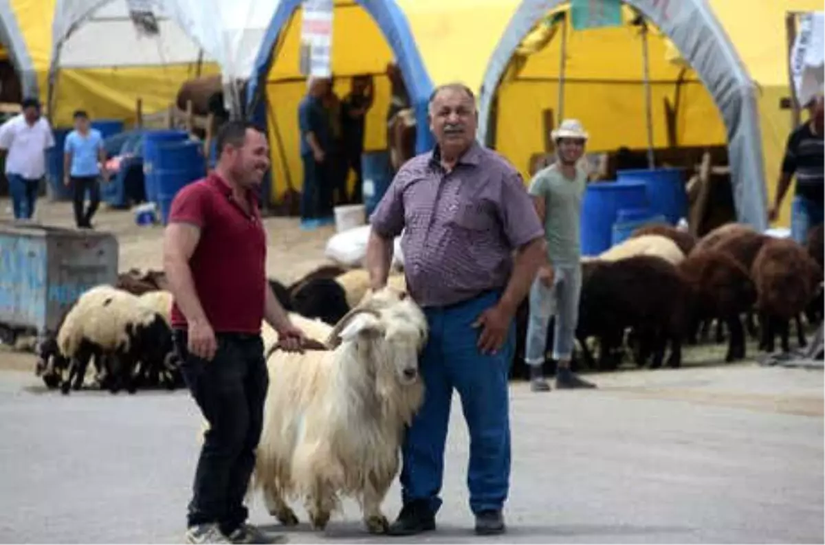 Ankara\'da Kurban Pazarında Satış Var, Memnuniyet Yok