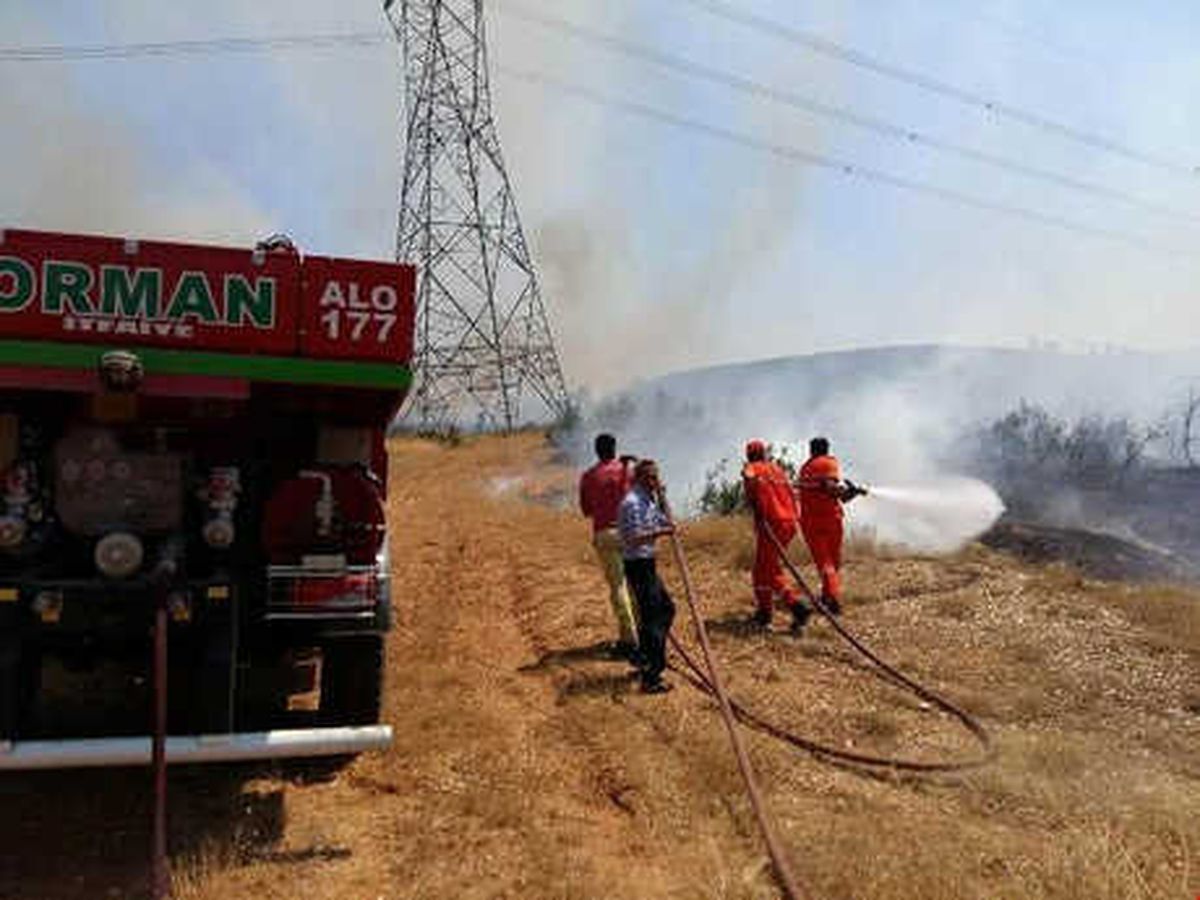 Bingöl\'de 4 Köydeki Orman Yangınları Söndürüldü