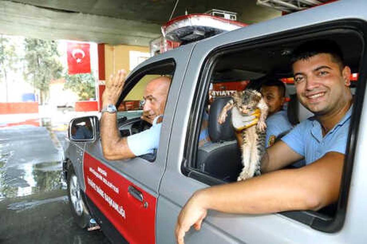 Boruya Sıkışan Yavru Kediyi İtfaiye Kurtardı