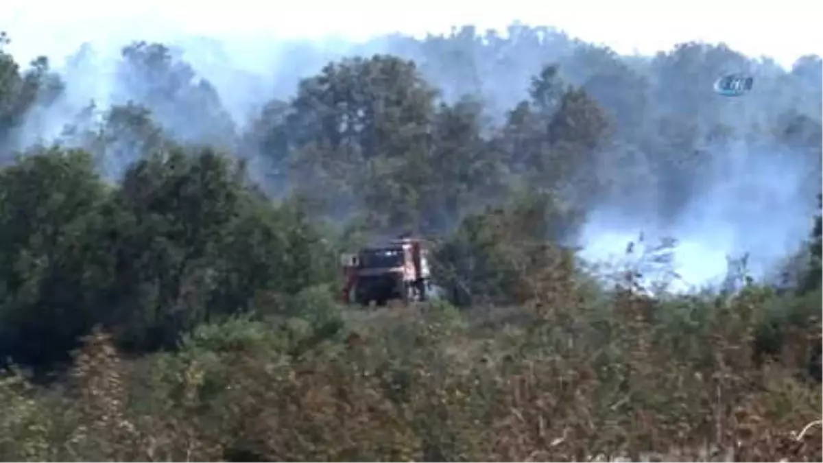 Bursa\'da 5 Hektarlık Alan Küle Döndü