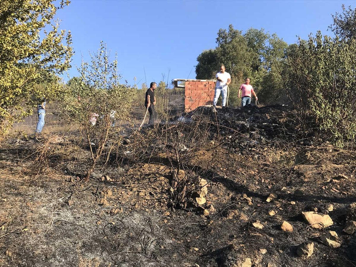 Bursa\'da Orman Yangını