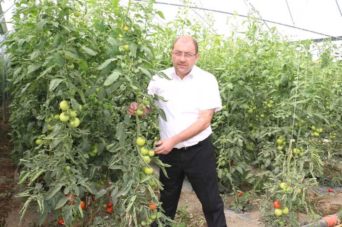 Erzincan\'da Sera Yatırımları Devam Ediyor