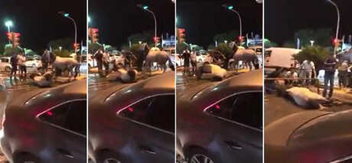 Faytona Koşulan At Yol Ortasına Yığıldı, Hayvanseverler İsyan Etti