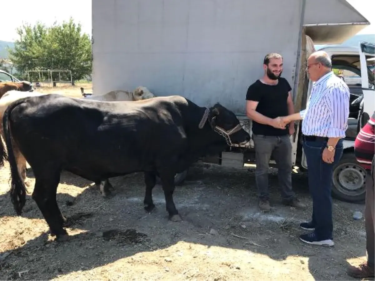 İznik Belediye Başkanı, 14 Bin Liraya Kurbanlık Aldı