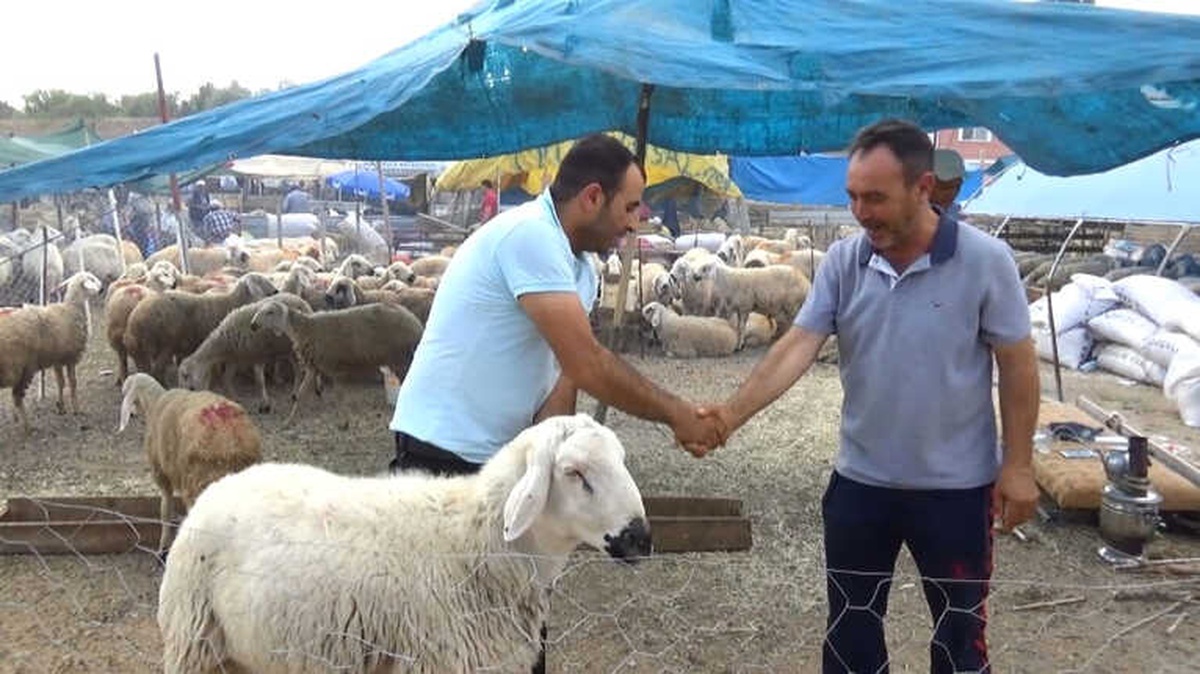 Kırıkkale\'de Kurban Pazarı Hareketlendi