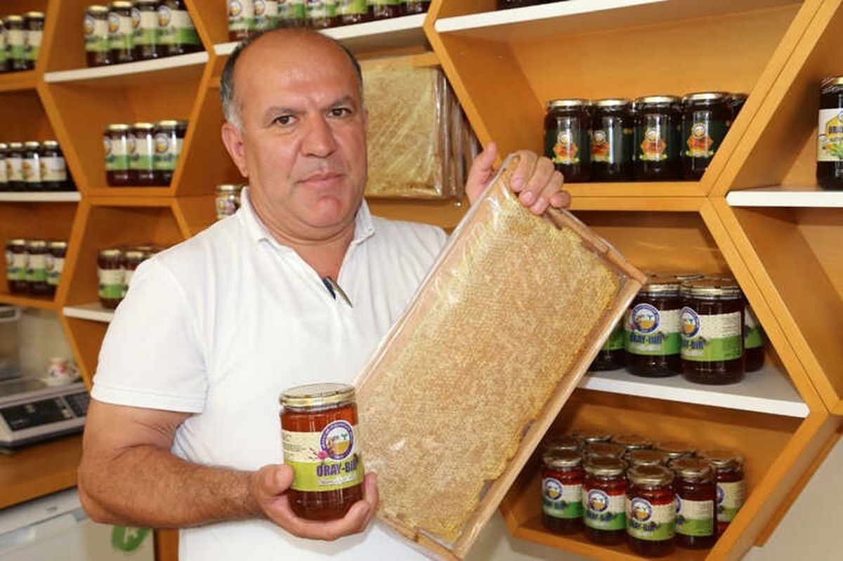 Ordu\'daki Bal Üretiminde Düşüş Bekleniyor