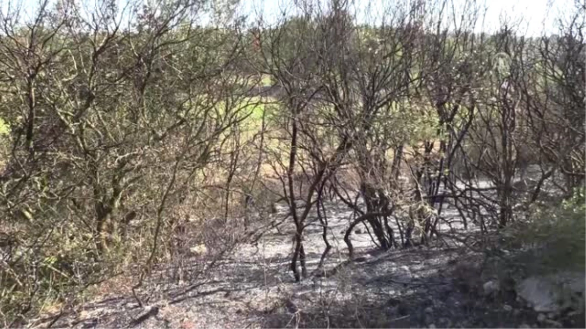 Orman Yangını Kontrol Altına Alındı