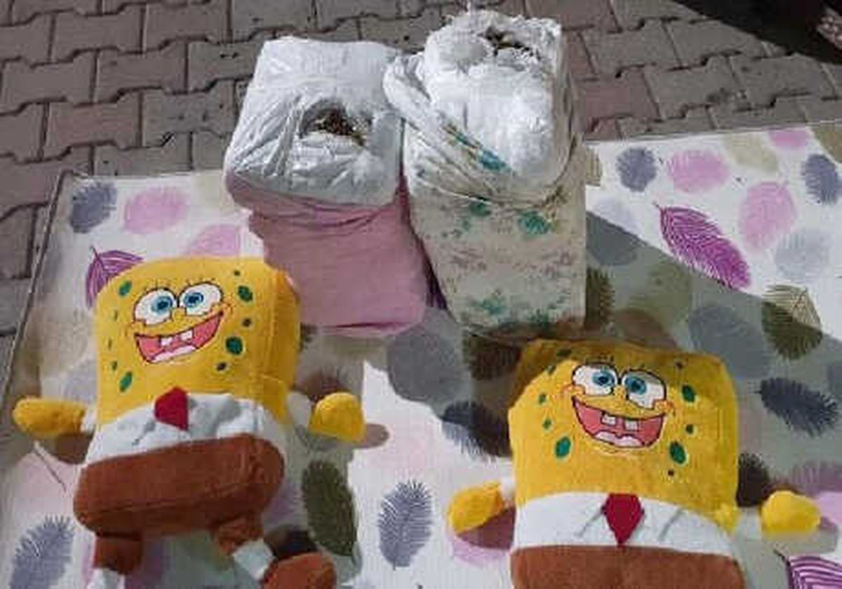 Otomobildeki Sünger Bob\'ların Yanında Esrar Ele Geçirildi