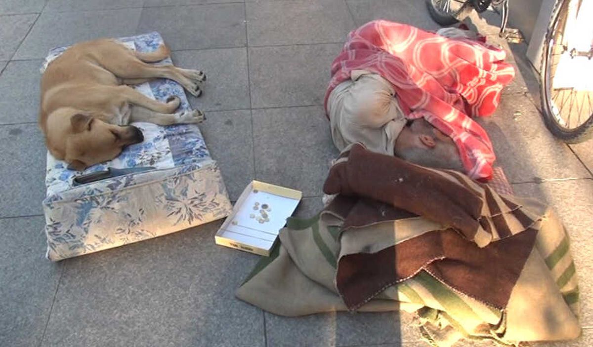 Yıllardır Bir Cadde Üzerinde Köpekle Birlikte Uyuyan Adam Yürekleri Sızlattı