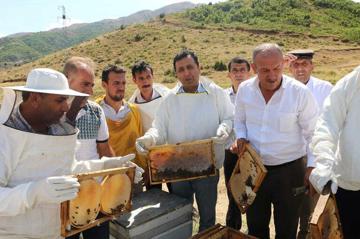 Siirt\'te Yılın İlk Balı Toplandı