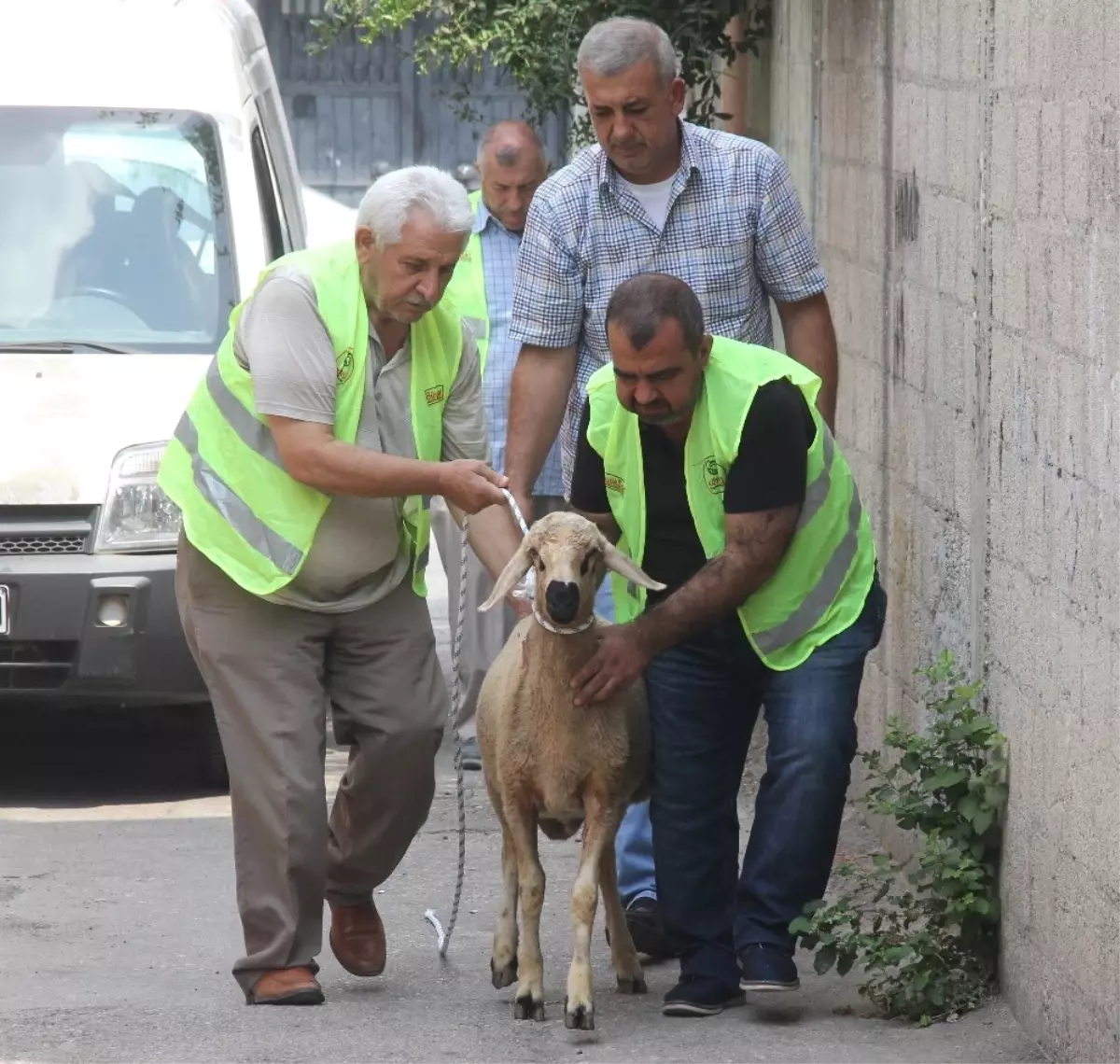 Sürpriz Kurbanlık Gözyaşlarına Boğdu