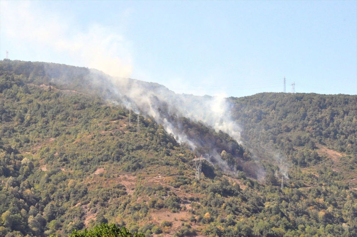 Zonguldak\'ta Orman Yangını