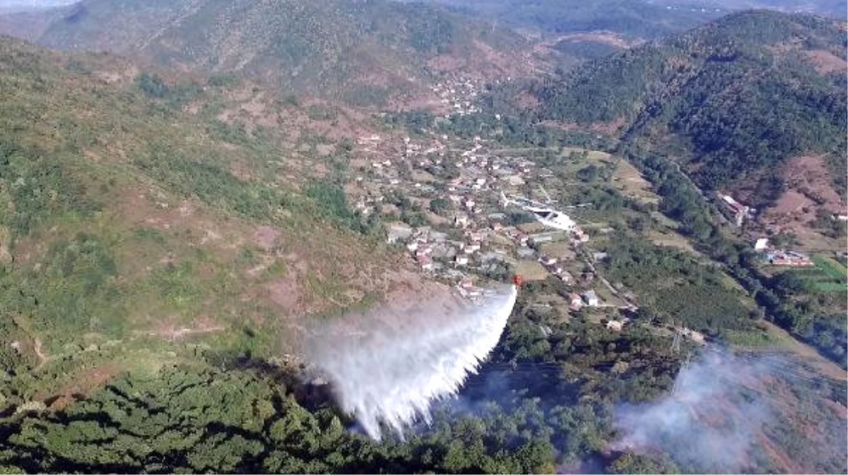 Zonguldak\'ta Orman Yangını 3 Saatte Söndürüldü