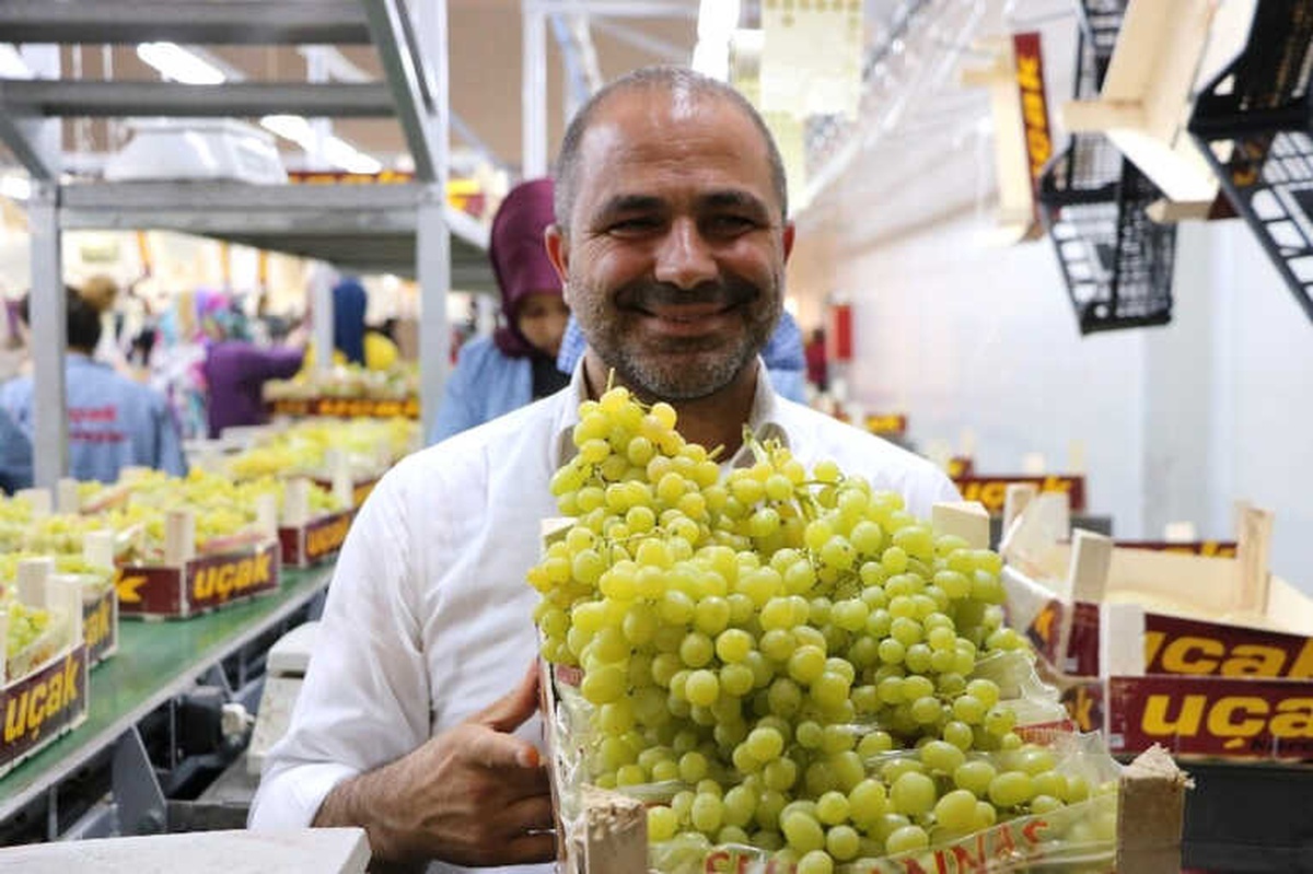 Alaşehir\'de Üzüm Festivali Başlıyor