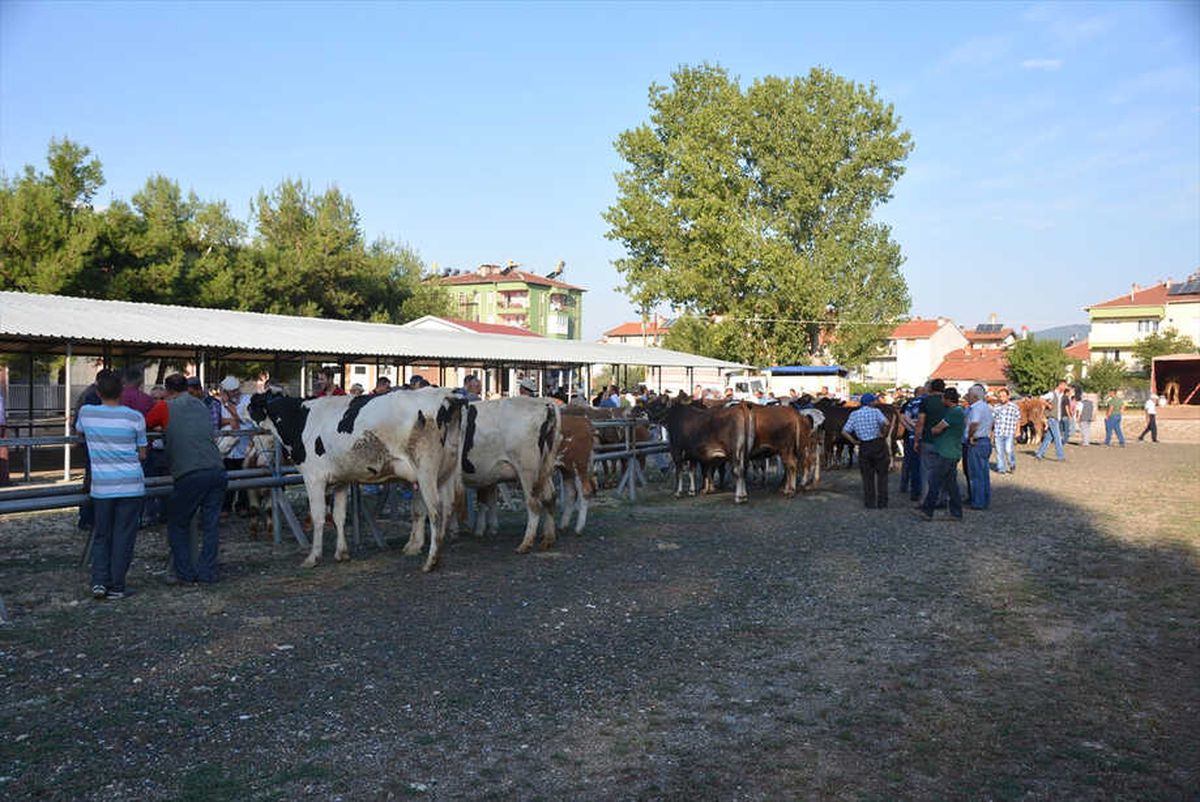 Banaz\'da Hayvan Pazarında Hareketlilik