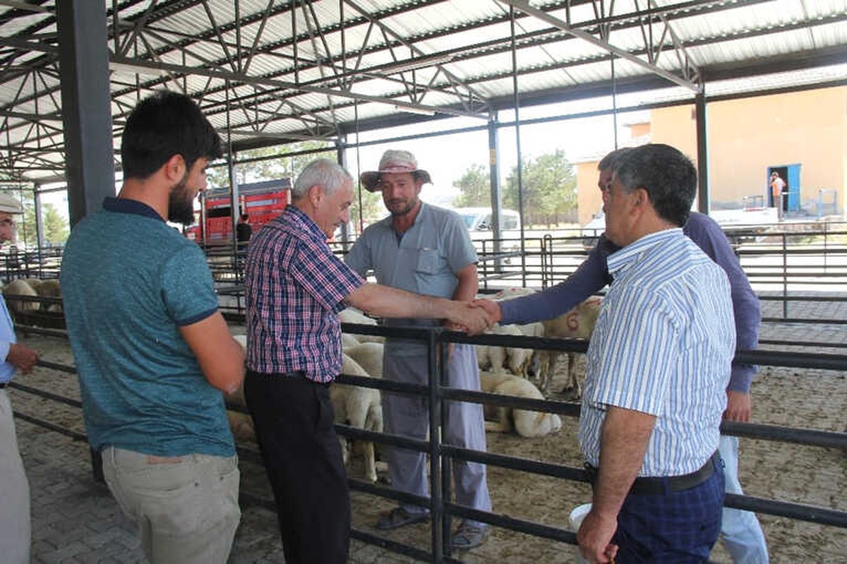Başkan Karayol Hayvan Pazarını Ziyaret Etti