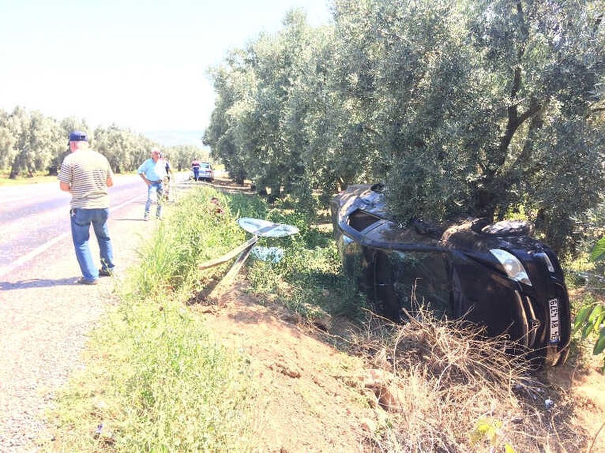 Kadın Sürücü Yol Levhasına Çarpıp Zeytinliğe Uçtu