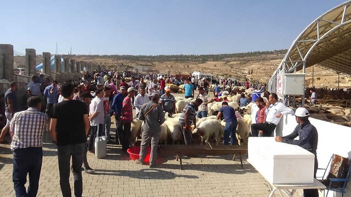 Kurban Pazarında Hareketlilik