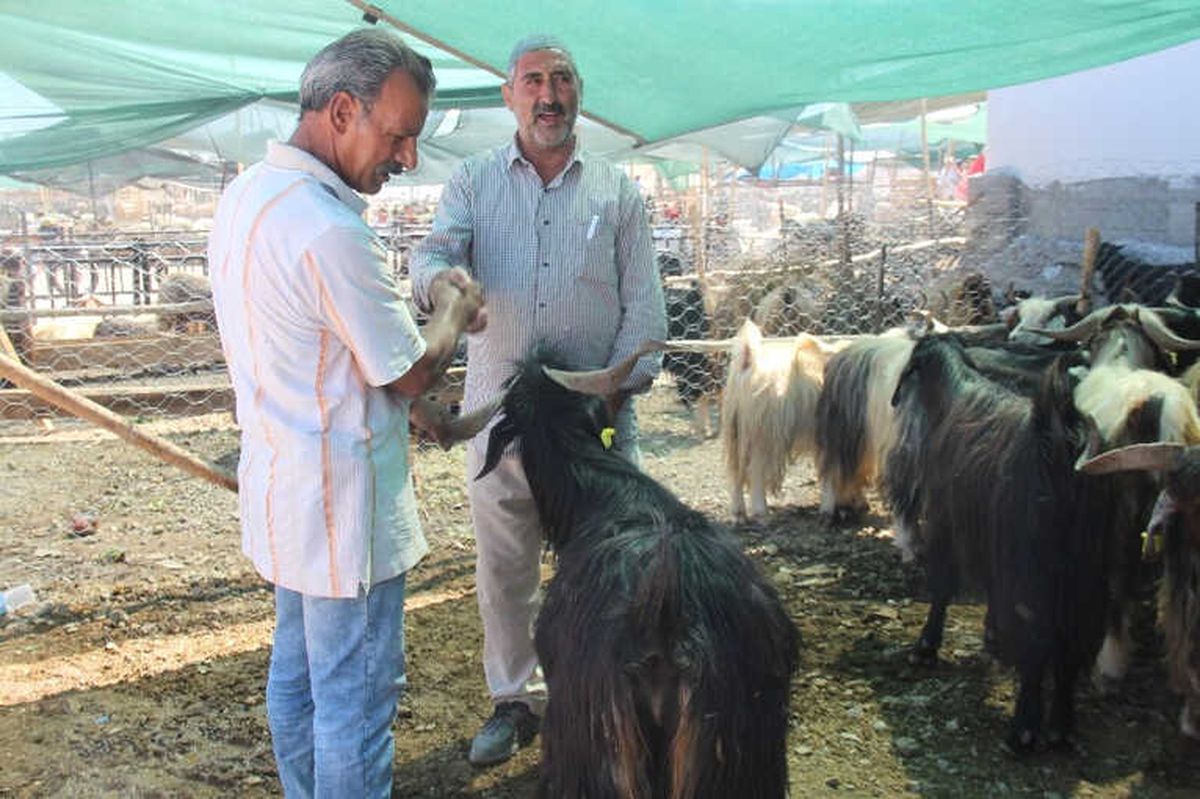 Kurban Pazarında Yoğunluk