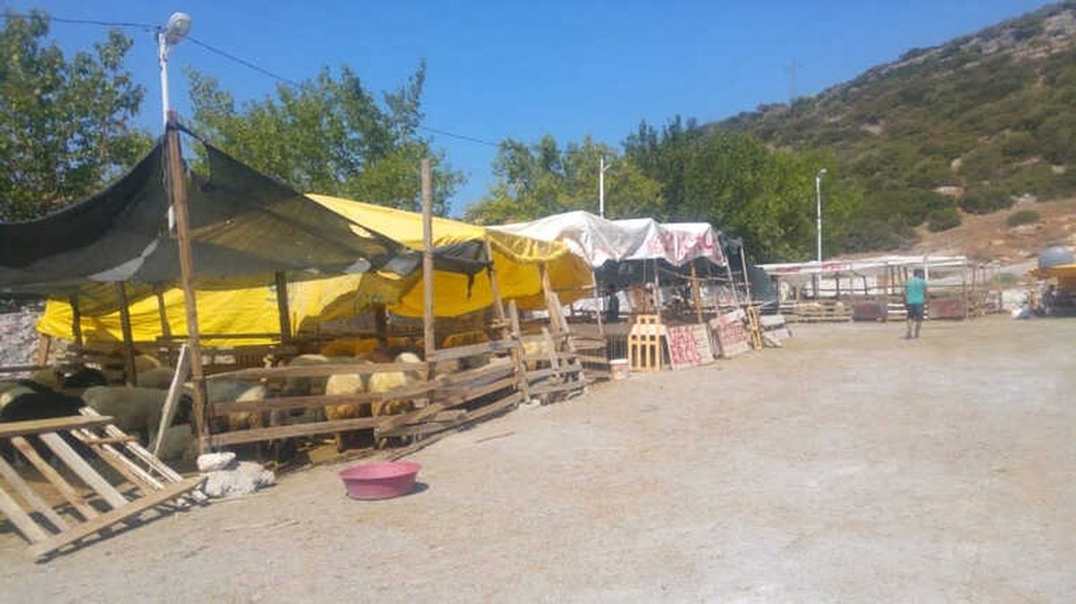 Kuşadası\'nda Kurbanlıklar Elde Kaldı
