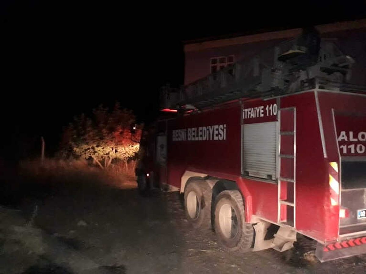 Orman Yangını Fıstık Bahçelerine Zarar Verdi