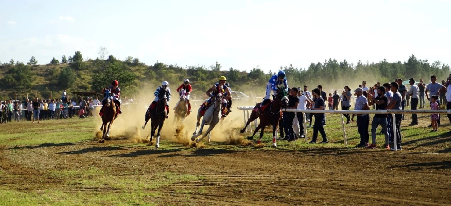 Taşköprü\'de Düzenlenen At Yarışları Nefesleri Kesti