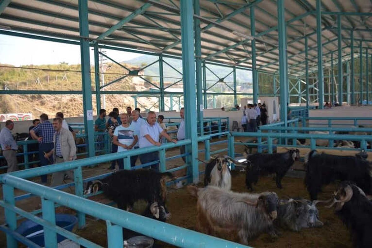 Tatvan\'da "Arife Günü" Telaşı