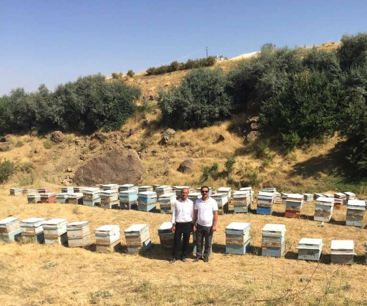 Van\'da Çifte Bayram
