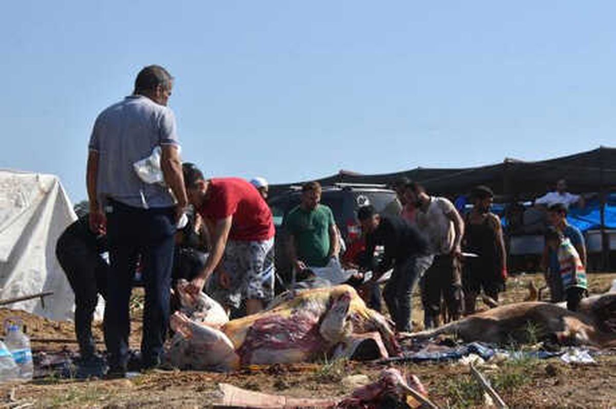 7 Yaşındaki Çocuk Elinde Bıçakla Babasına Yardım Etti
