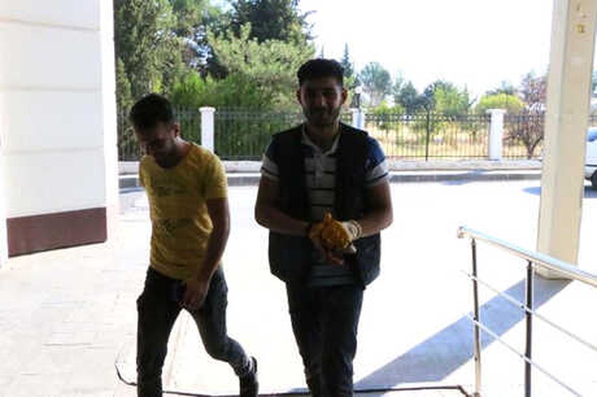 Adıyaman\'da Acemi Kasaplar Kendilerini Yaralandı