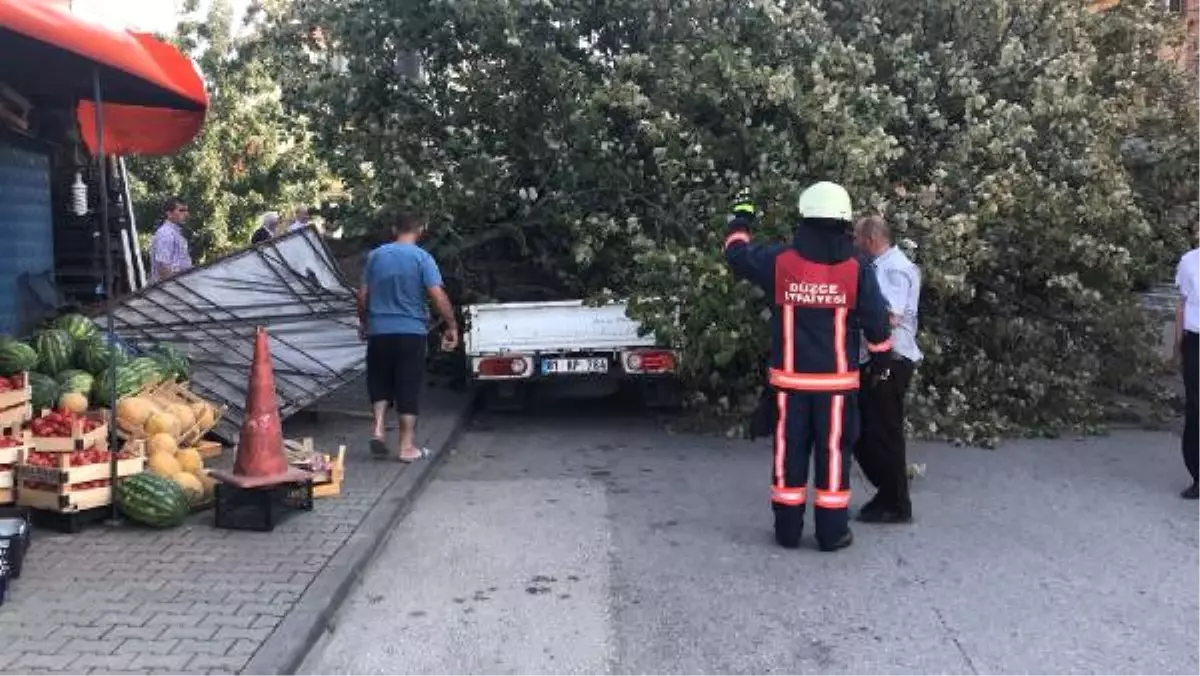 Ağaç Kamyonetin Üzerine Devrildi