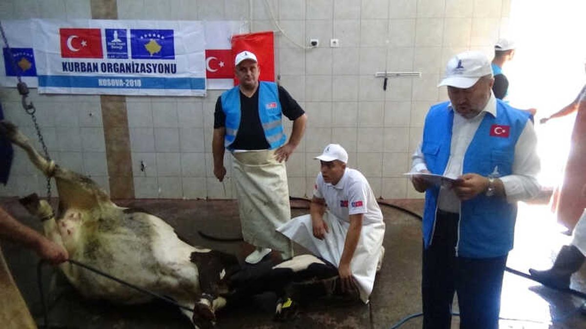 Balkanlara Kardeş Eli