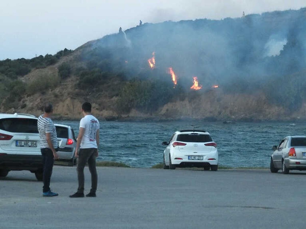 Bandırma\'da Arazi Yangını