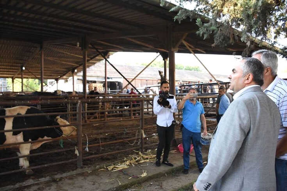 Başkan Dursun Ay, Hayvan Kesim Yerlerini Gezdi