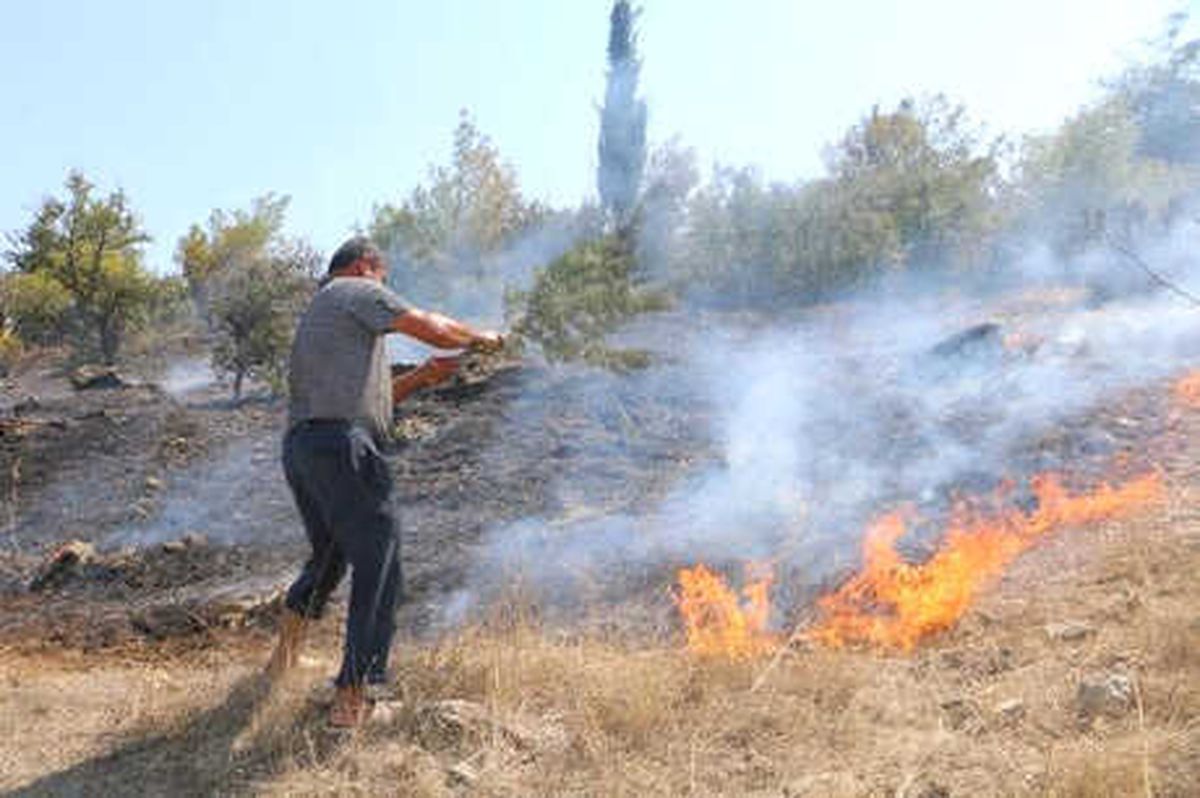 Bergama\'da 8 Hektar Fıstık Çamı Ormanı Yandı