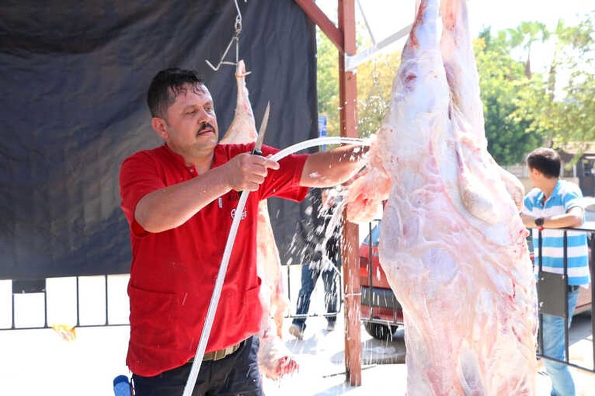 Büyükşehir\'den Ücretsiz Kurban Kesimi