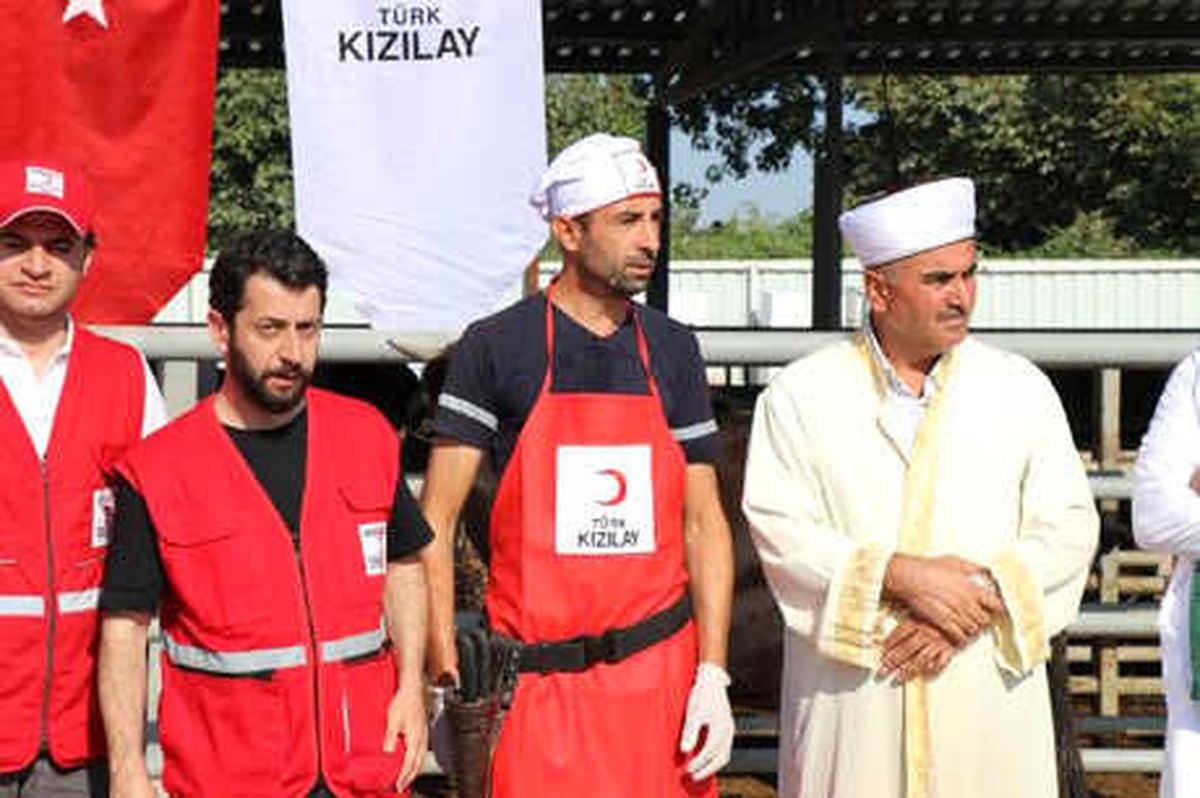 Cumhurbaşkanı Erdoğan\'ın Vekalet Kurbanı Sakarya\'da Kesildi