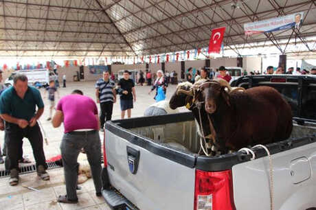 Gaziantep\'te Kurban Kesimi Erken Saatlerde Başladı