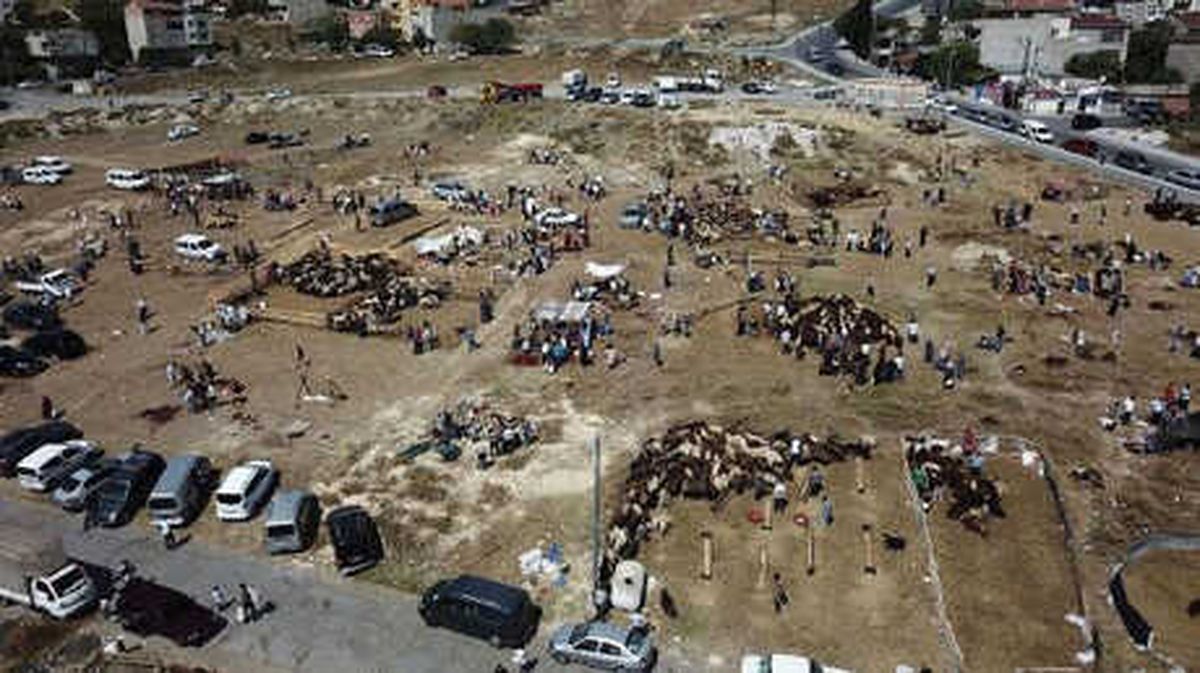 Havadan Fotoğraflar / Başakşehir\'de Boş Arsa Kaçak Kesim Yapanlarla Doldu