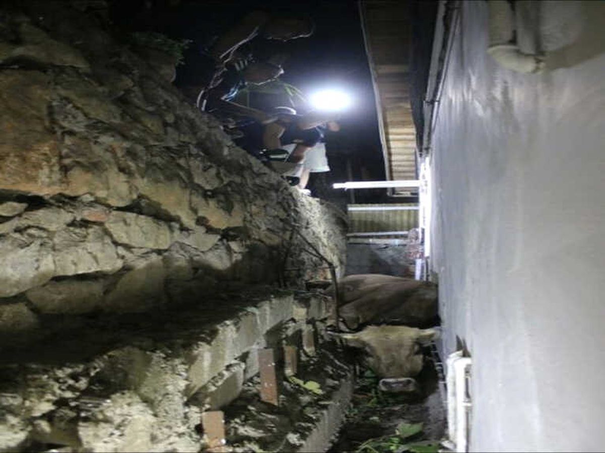 Kaçarken Duvardan Düşen Kurbanlık 3 Saatte Kurtarıldı