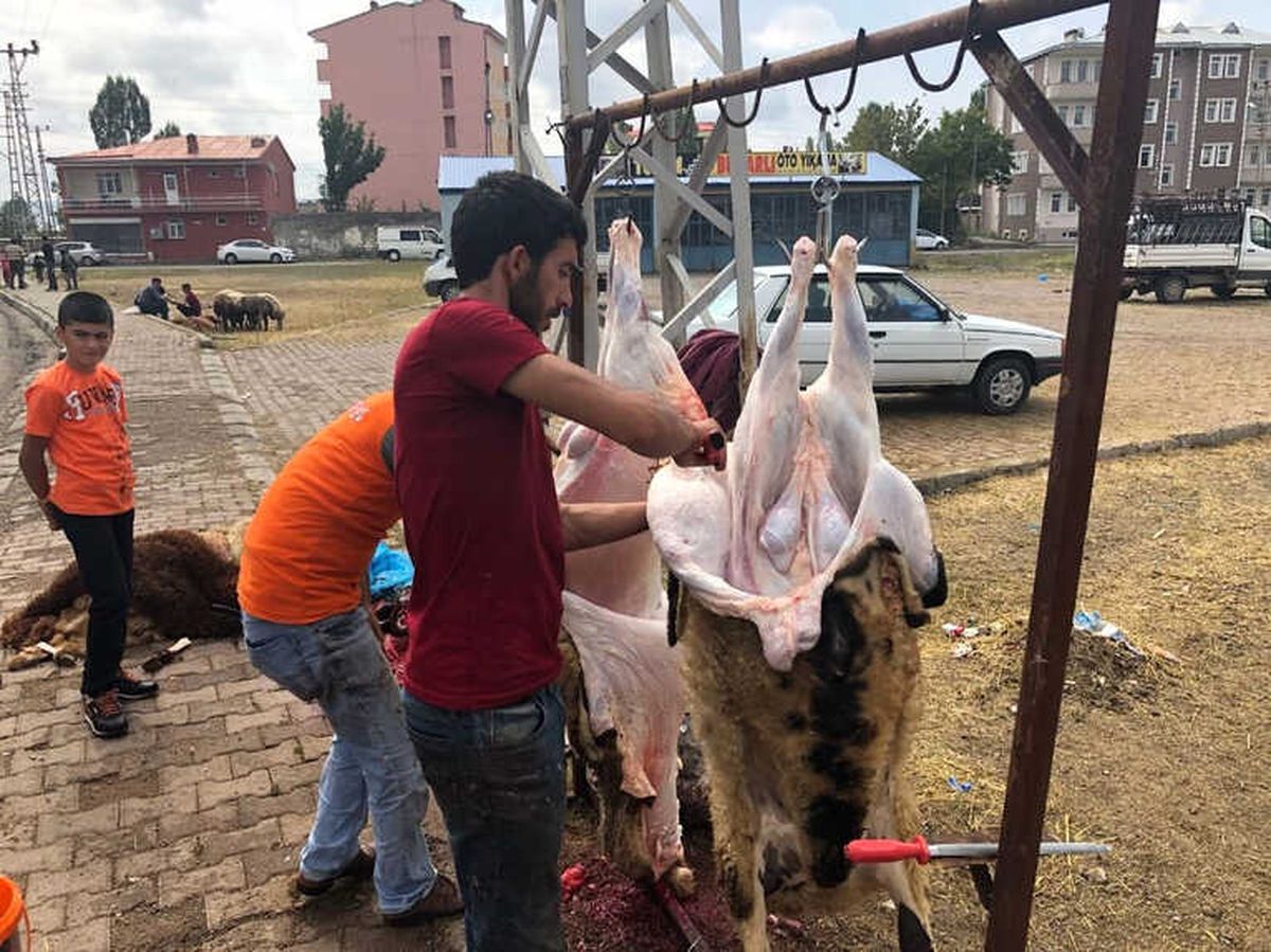 Kars\'ta Kurbanlıklar Elde Kaldı