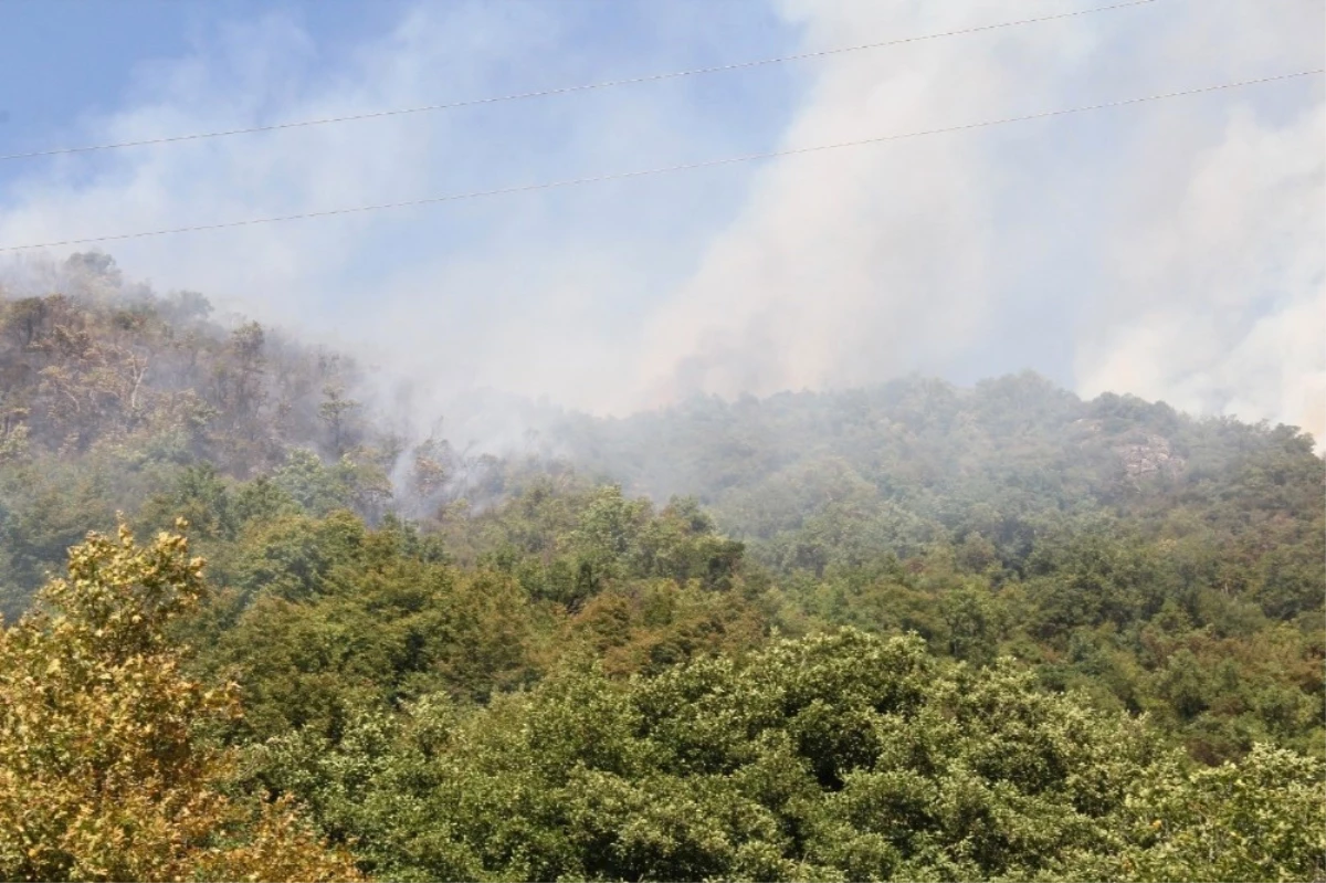 Kastamonu\'da Çıkan Orman Yangını Helikopter ile Söndürüldü