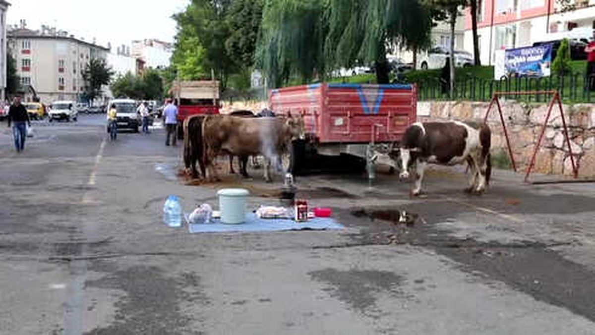 Kurban Bayramı - Kurban Kesimi