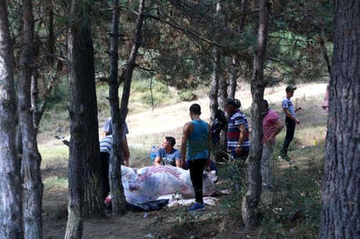 Ormanlık Alanda Kaçak Kesim