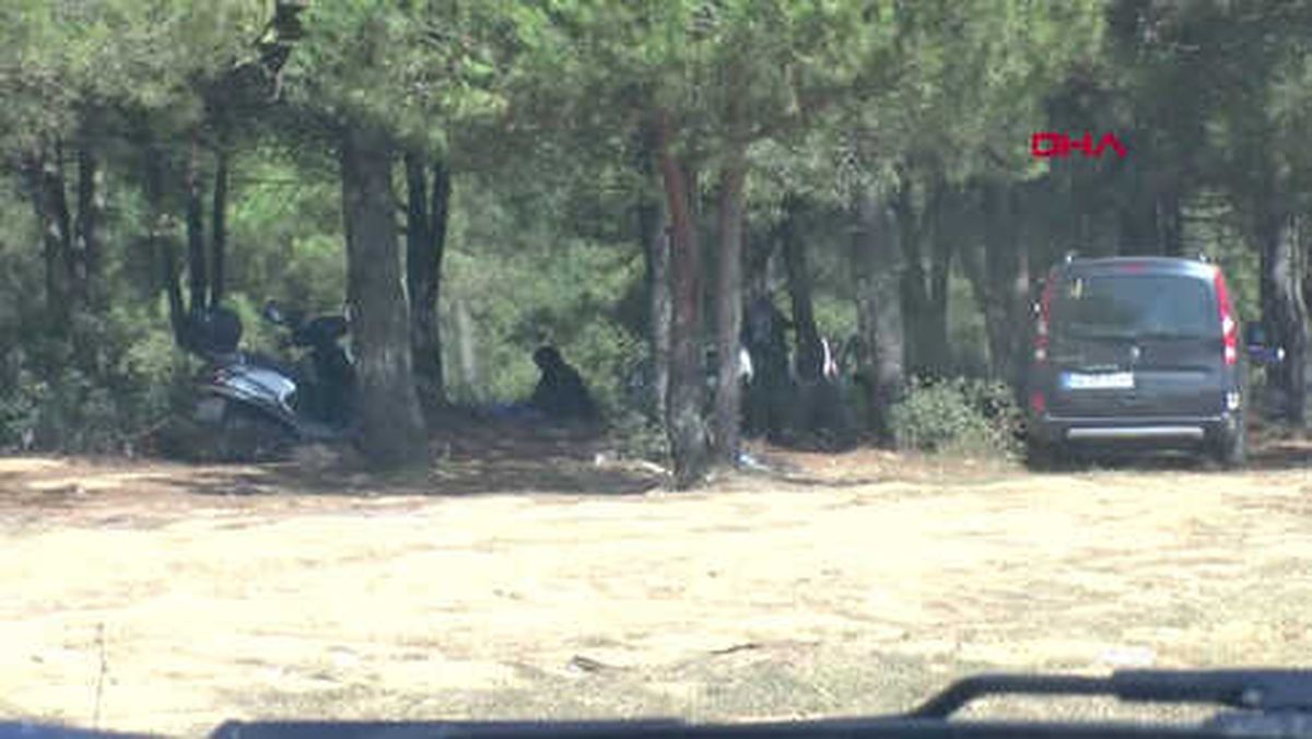 Ormanlık Alanda Kaçak Kesim Hd