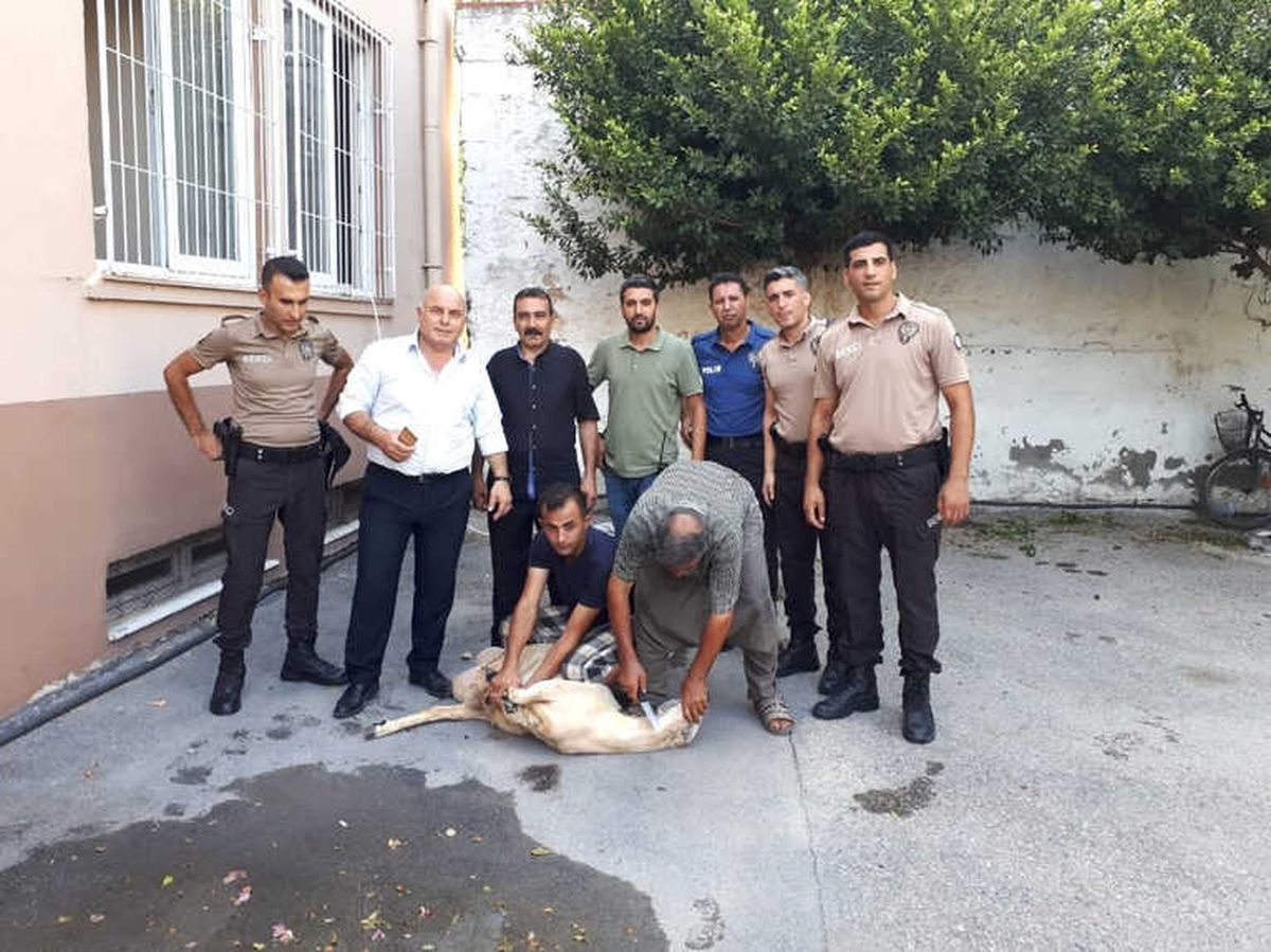 Tarsus Polisinden Örnek Davranış