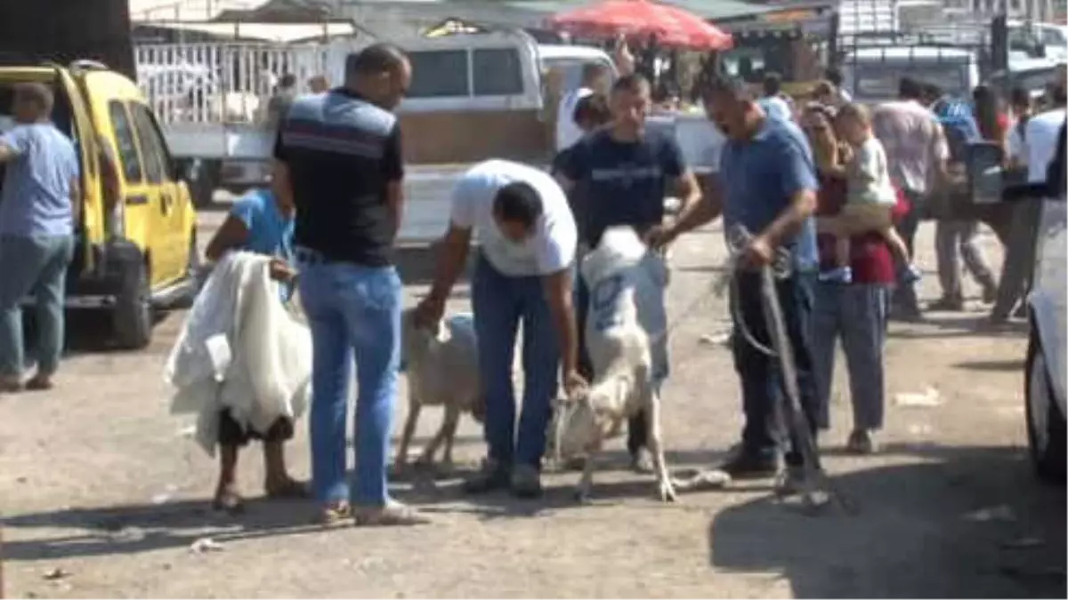 Vatandaşlar Bayramın İlk Gününde Kurban Pazarlarına Akın Etti