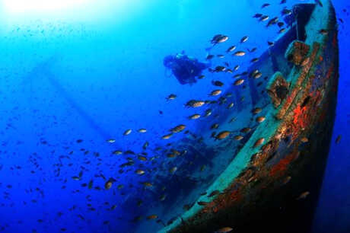 Bodrum\'un Su Altı Güzellikleri, Yarışma ile Dünyaya Tanıtılacak