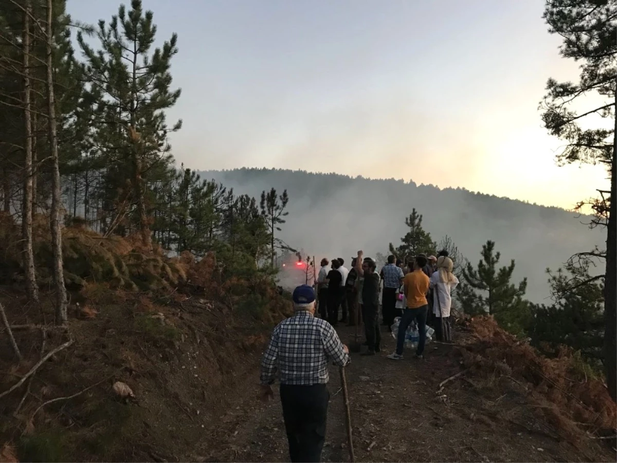 Kaymakam ve Vatandaşlar, Ormanı Yanmaktan Kurtardı